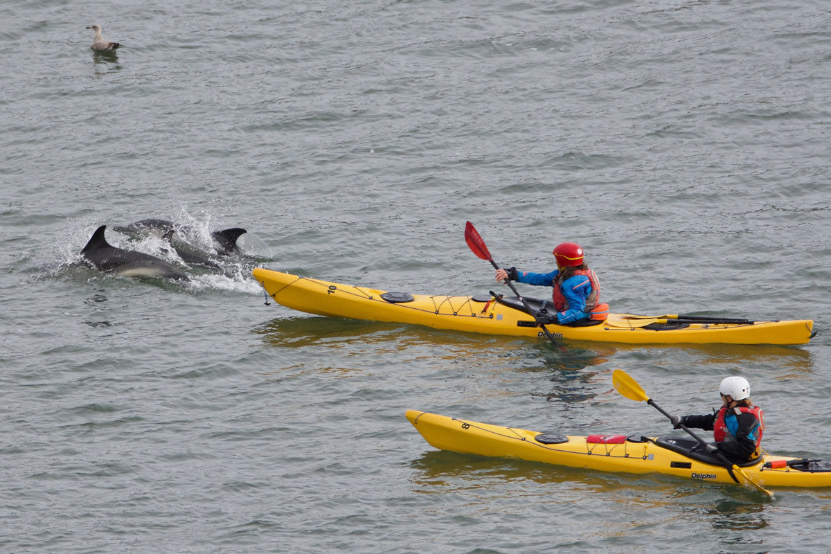 dartmouth yacht club sailing lessons